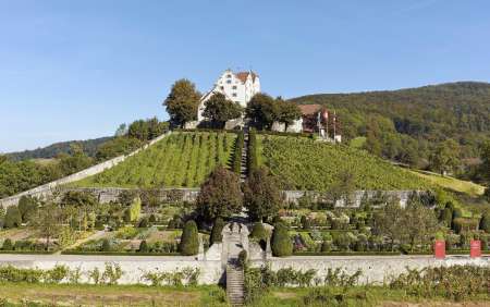 blumengeflüster Schloss Wildegg 2021