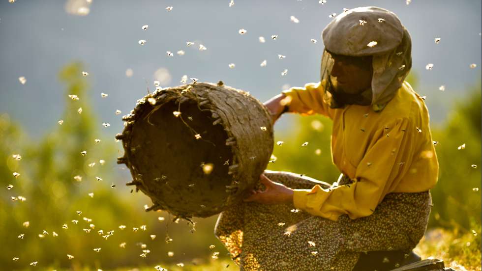 Hatidze in ihrem nordmazedonischen Dorf mit ihren Bienen.
